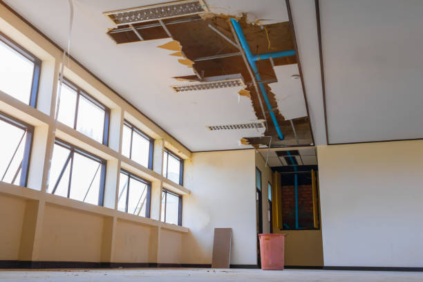 Best Water damage restoration near me  in Brady, TX