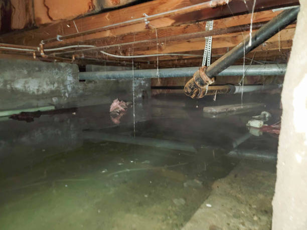 Best Water damage contractors near me  in Brady, TX