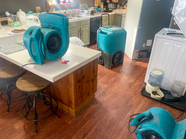 Best Water damage restoration near me  in Brady, TX