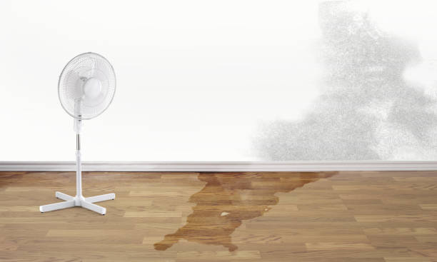 Best Basement water damage restoration  in Brady, TX