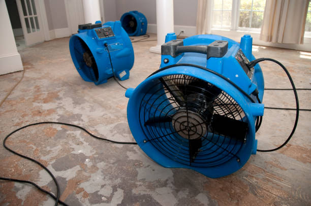 Best Water damage restoration process  in Brady, TX